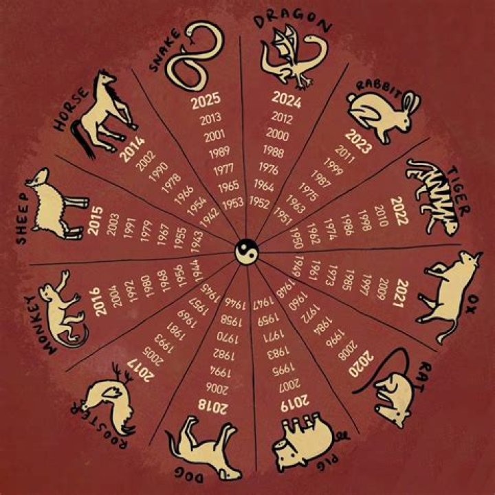 Unveiling the Mysteries of Zodiac Animal 1991: Insights and Discoveries